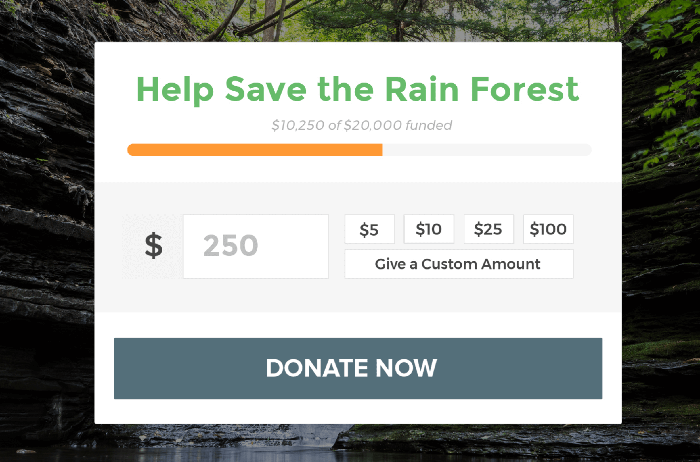 An example of how the funding goal and current donations can be displayed.