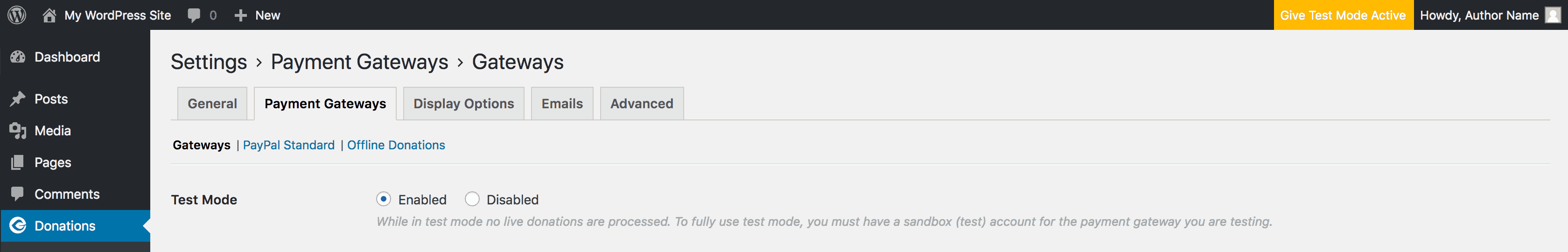 The Test Mode settings in Give.