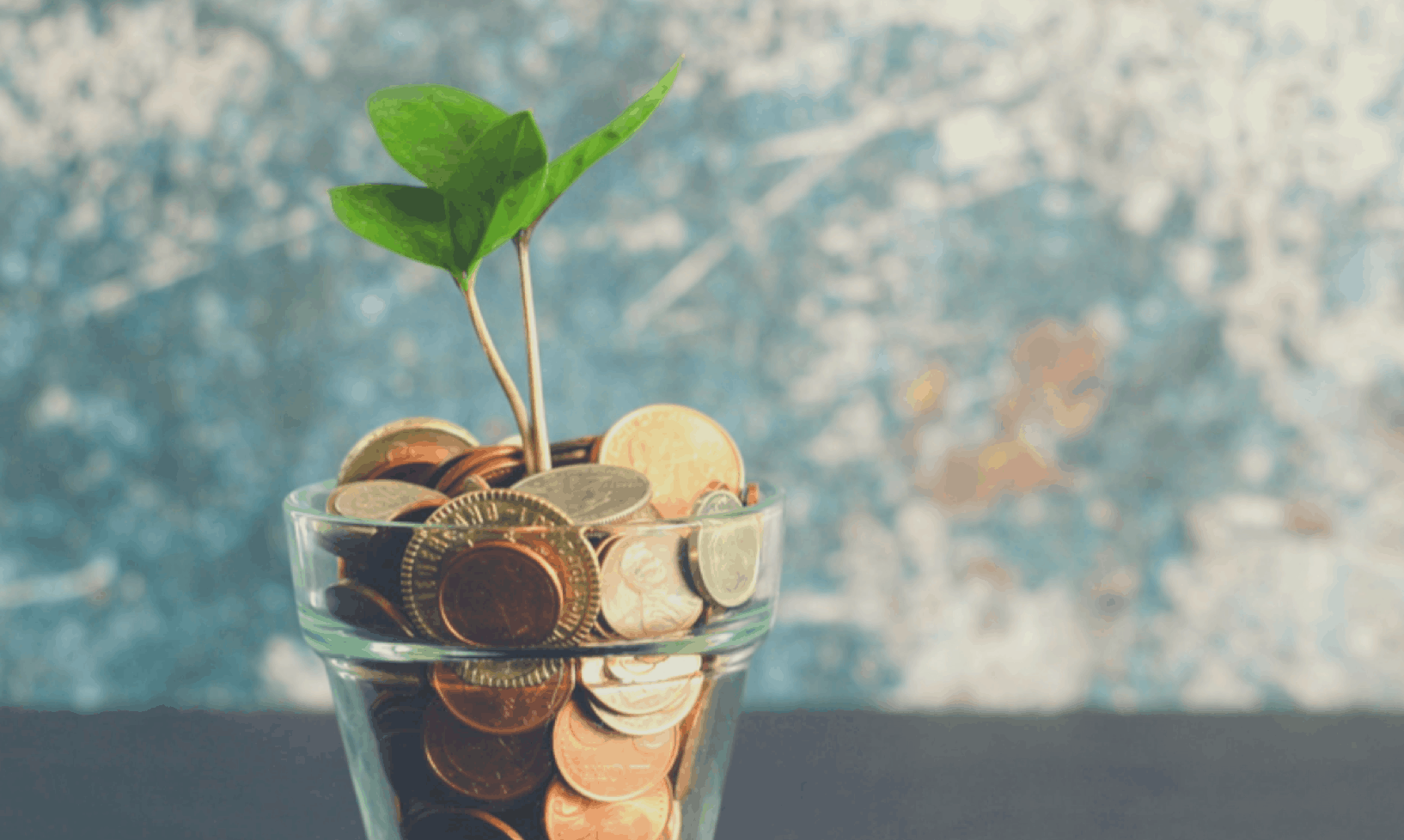 Affiliate Marketing with GoWP