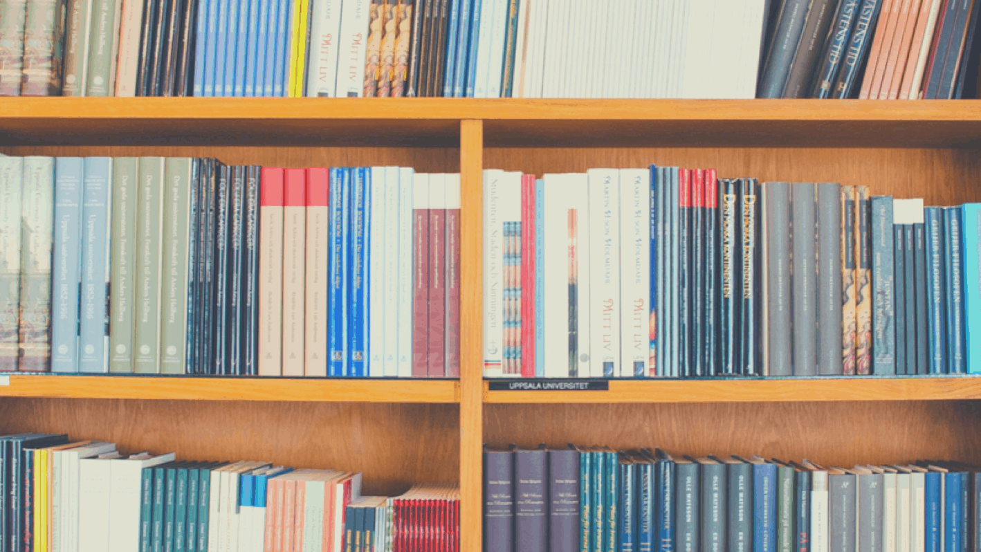 WordPress database plugins