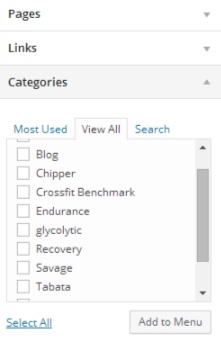 Adding menus in WordPress - Categories Tab